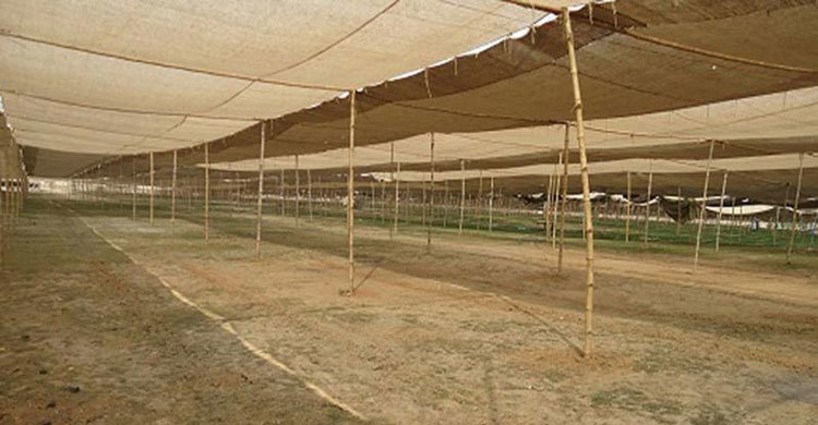 তুরাগ তীরে বিশ্ব ইজতেমার প্রস্তুতি সম্পন্ন