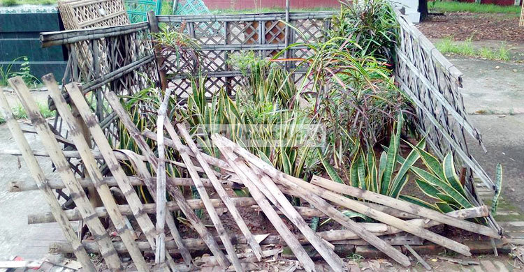 শহীদ জননীর সমাধি সংরক্ষণের দাবি বিশিষ্টজনদের