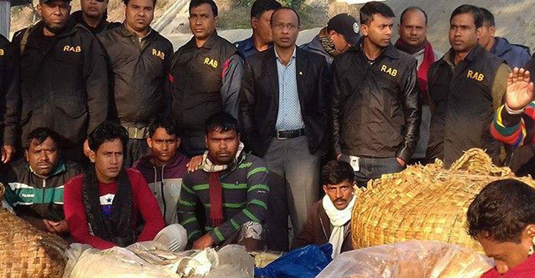 শরীয়তপুরে ৮০ মণ জাটকা ইলিশ জব্দ