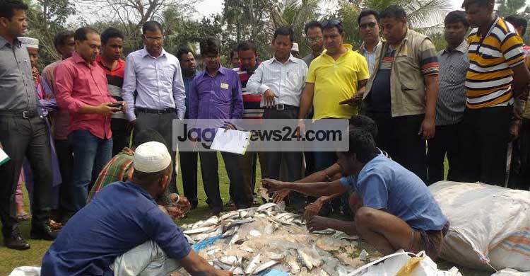 বিআরটিসি বাস থেকে ২০ মণ জাটকা জব্দ