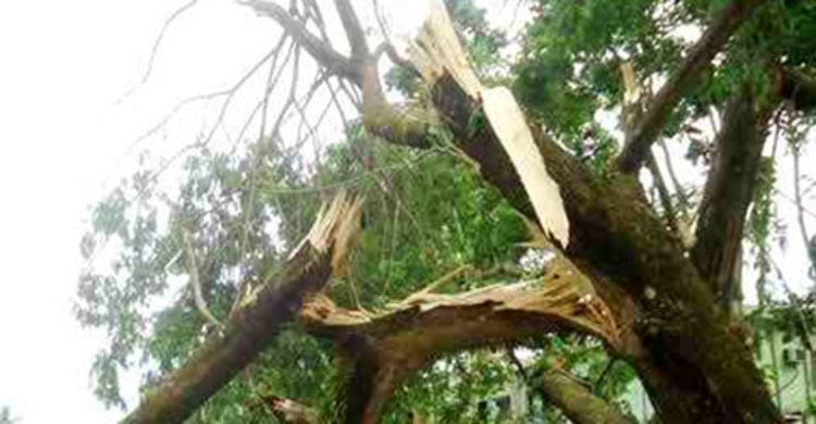 কালবৈশাখী ঝড়ে বৃদ্ধা নিহত, নিখোঁজ ১