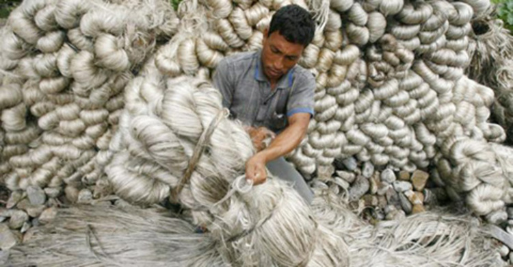 ৬ মার্চ জাতীয় পাট দিবস পালনের সিদ্ধান্ত