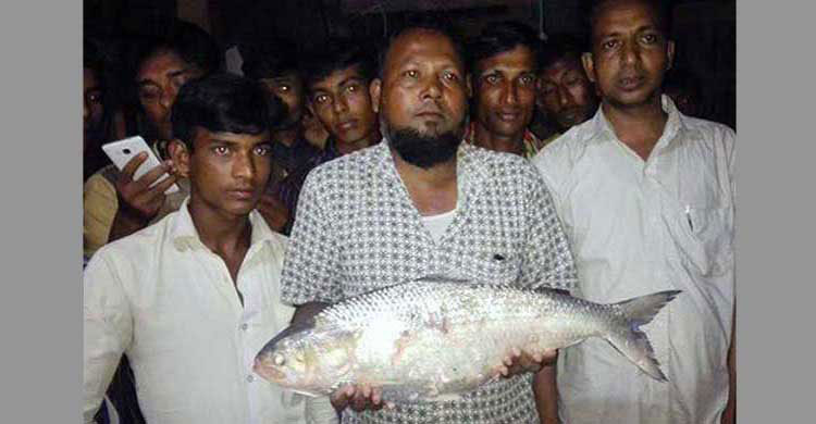 প্রধানমন্ত্রীকে রাজা ইলিশ উপহার দেয়া সেই ব্যবসায়ী অপহৃত