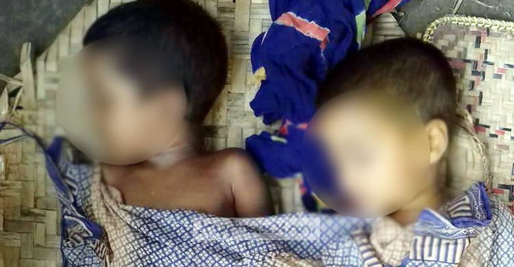 কোটালীপাড়ায় পুকুরে ডুবে দুই শিশুর মৃত্যু