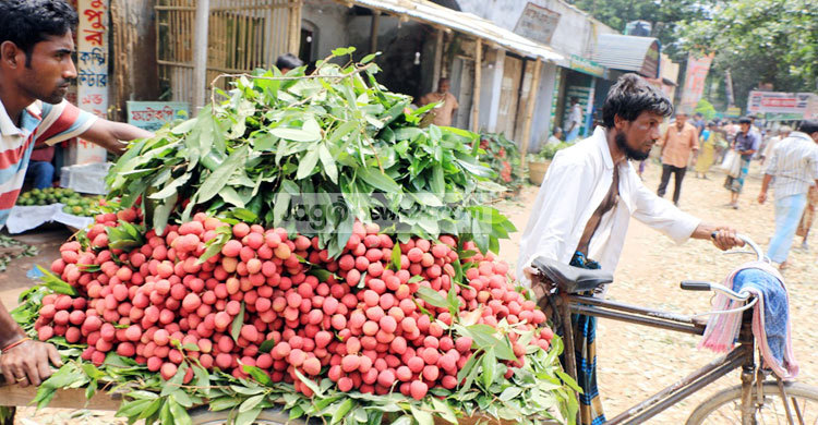 রসালো লিচুতে ভরে গেছে বাজার