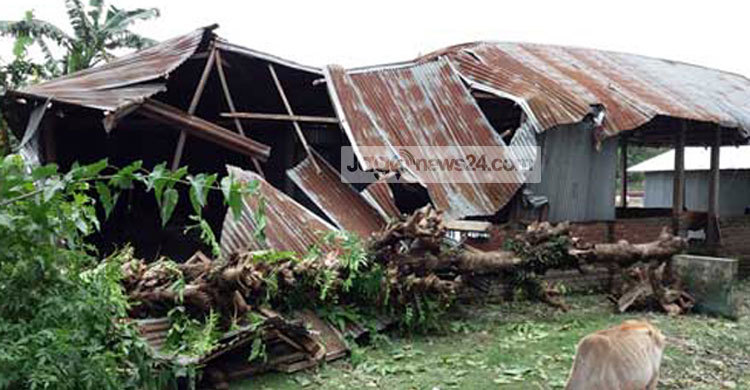 রামগতিতে ঘূর্ণিঝড়ে বিদ্যালয়সহ ঘরবাড়ি বিধ্বস্ত