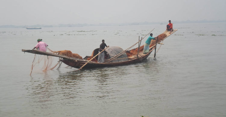 মেঘনার ১শ কিলোমিটার এলাকায় মাছ ধরা বন্ধ