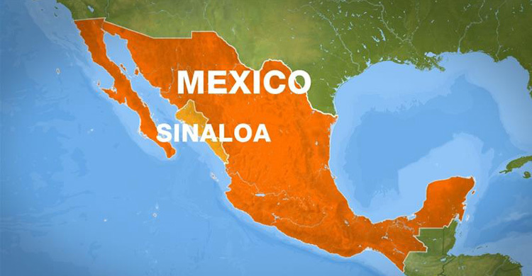 Mexico: 19 gang members killed in overnight clashes