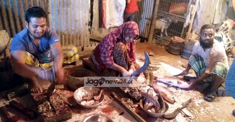 মাছ কাটেন, কিন্তু খেতে পান না মরিয়মরা