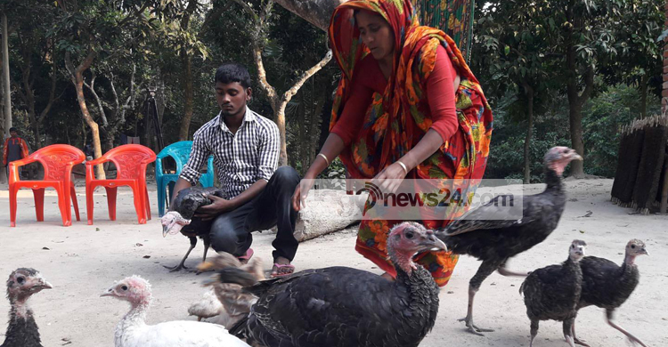 তার্কিস মুরগি পালনে ঘুরে দাঁড়িয়েছেন মিজানুর
