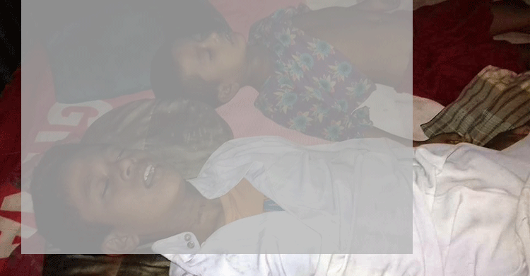 নরসিংদীতে বড় ভাইয়ের হাতে তিন সহোদর খুন