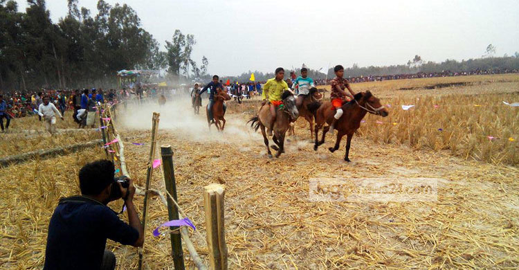 ফুলবাড়ীতে ঐতিহ্যবাহী ঘোড়দৌড় প্রতিযোগিতা 
