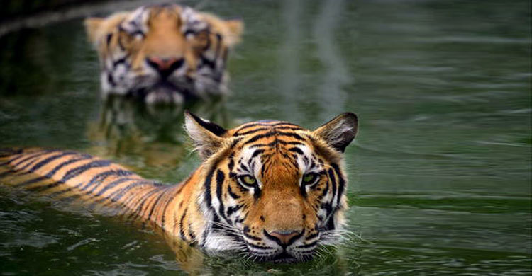 WHC and IUCN call for relocation of Rampal power plant