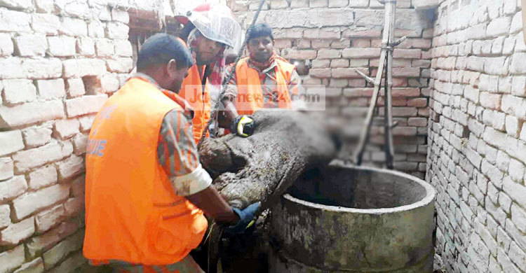 পাওনা টাকার জেরে যুবককে হত্যা, আটক ২