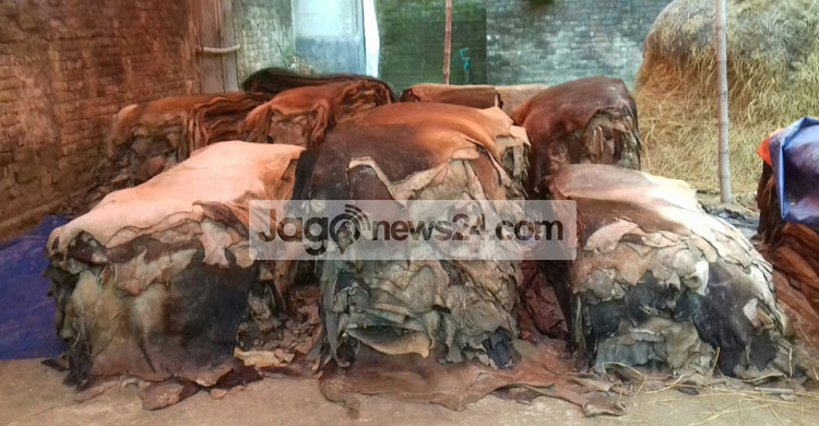 ২০ লাখ টাকার চামড়া মাত্র তিন লাখ টাকায় বিক্রি! 