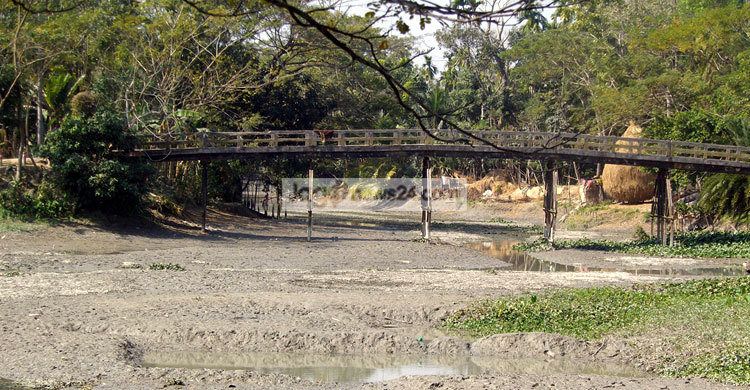 বিশ্ব জলাভূমি দিবস : উপকূলে বাড়ছে লবণাক্ততা