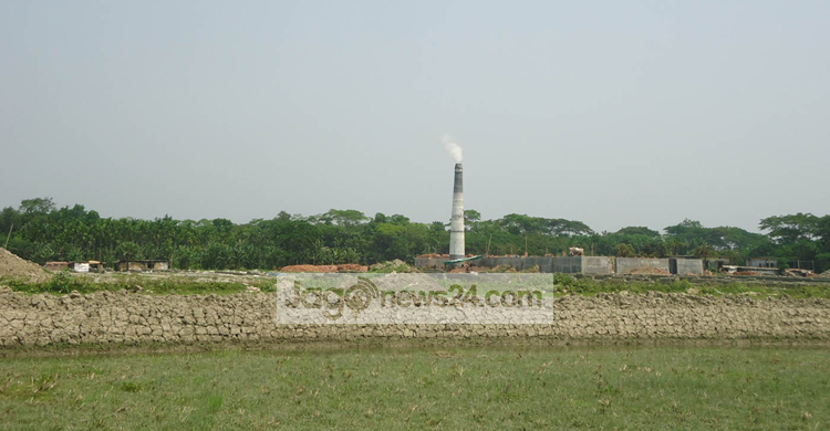 রাজাপুরে সরকারি সম্পত্তি দখল করে ইটভাটা