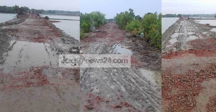 স্বপ্ন ভেঙেছে আশাশুনির হাজারো মানুষের