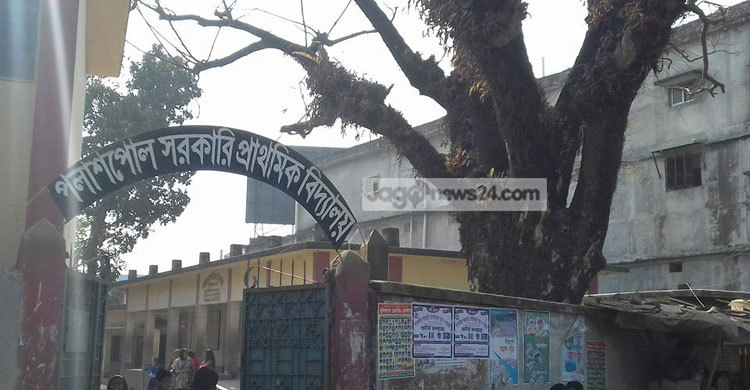 মরা গাছ নিয়ে বিপাকে শিক্ষক-শিক্ষার্থীরা