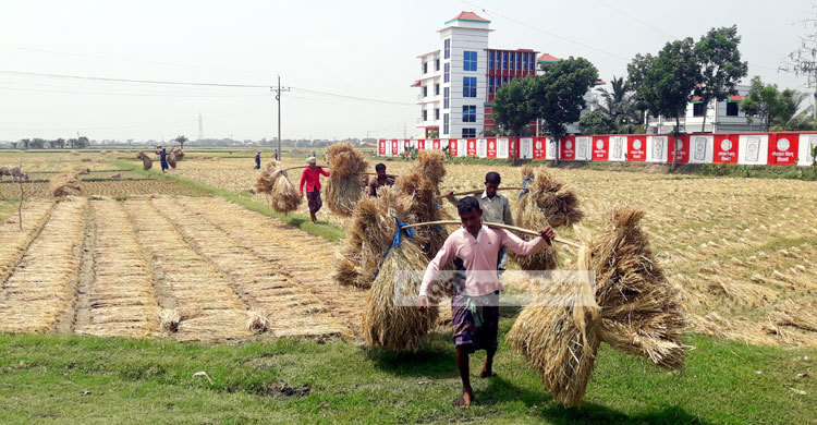 ভাগ্যের পরিবর্তন হয় না এসব মানুষের