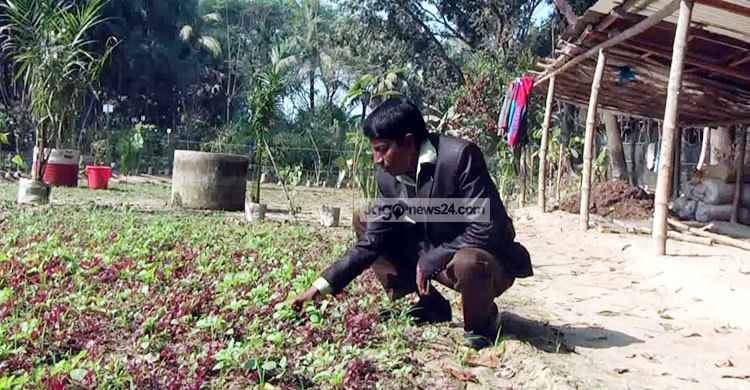 সাড়া ফেলেছে ইয়ারবের গাছের পাঠশালা
