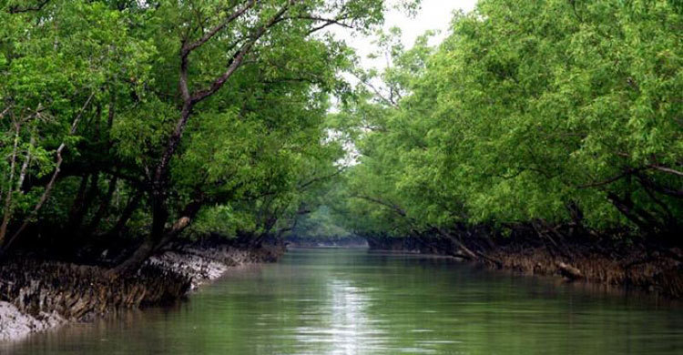 সুন্দরবনে পুলিশের সঙ্গে বনদস্যুদের গোলাগুলি