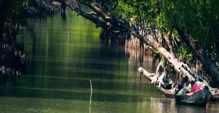 মুক্তিপণের দাবিতে ১২ জেলে অপহরণ