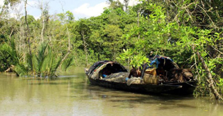 সুন্দরবনে ১০ জেলেকে ‘অপহরণ’