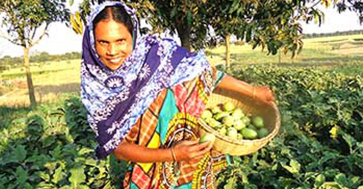 গৃহবধূ তাজকেরা এখন ‘মডেল’