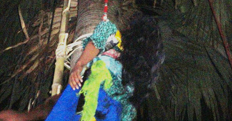 ‘জিনের টানে’ তালগাছে কিশোরী