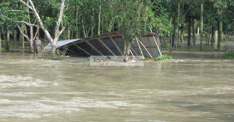 করতোয়ার বাড়ছে বাকিগুলোর কমছে