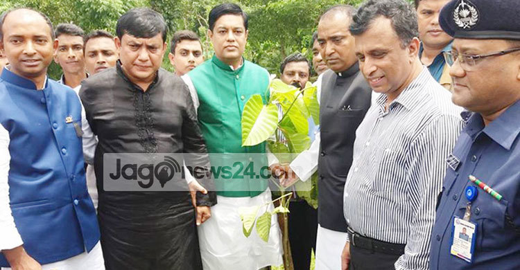 শোক দিবস উপলক্ষে এক লাখ গাছের চারা লাগালেন জ্যাকব