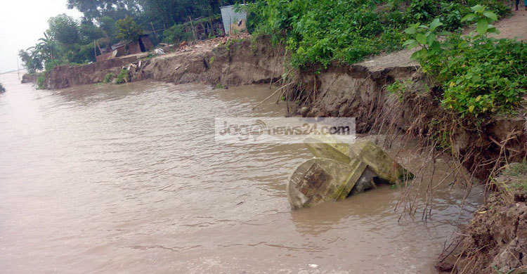 পদ্মার ভাঙনে দিশেহারা মানুষ, আরও ৭ বাড়ি বিলীন