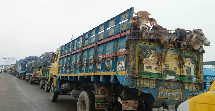 দৌলতদিয়ায় পারের অপেক্ষায় চার শতাধিক ট্রাক