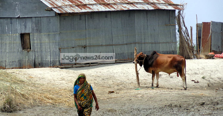 গাইবান্ধায় বন্যা পরিস্থিতির উন্নতি