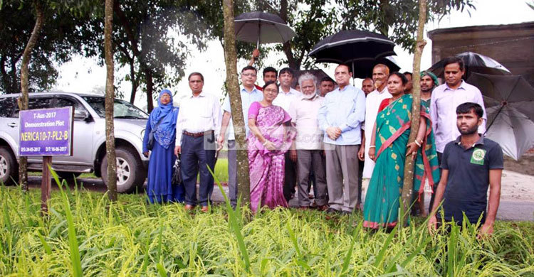ধান গবেষণা ইনস্টিটিউট পরিদর্শনে বিশেষজ্ঞ দল
