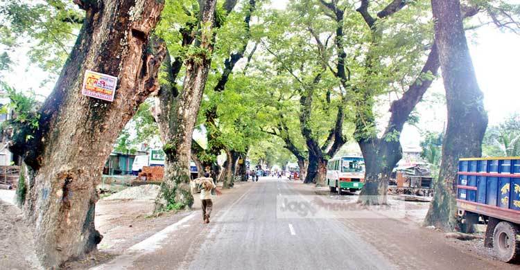 গাছ বাঁচাতে চার লেনের সড়ক বাদ!