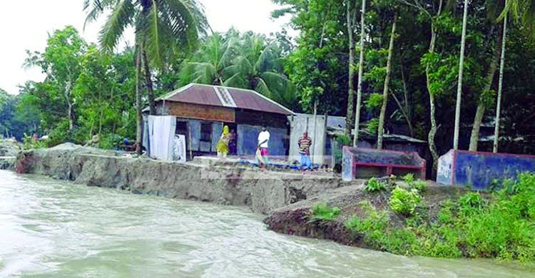পানি কমলেও বেড়েছে নদীভাঙন, শতাধিক ঘরবাড়ি বিলীন