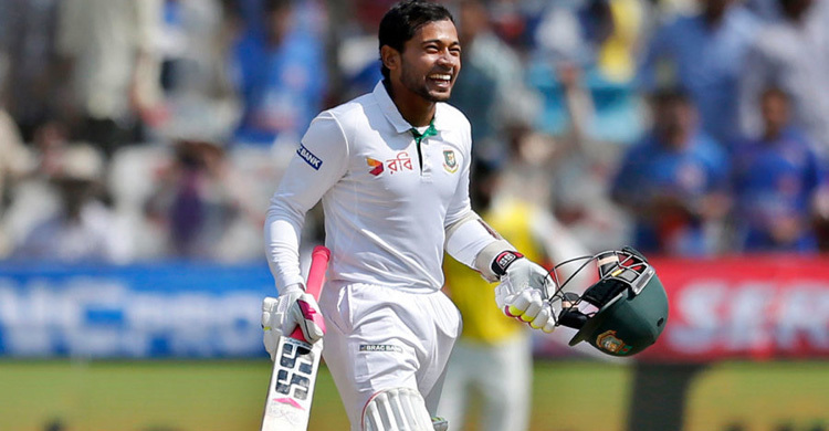 Without emotion you can’t do anything: Mushfiq