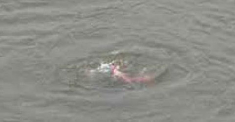 কাপাসিয়ায় পানিতে ডুবে ৩ বোনের মৃত্যু