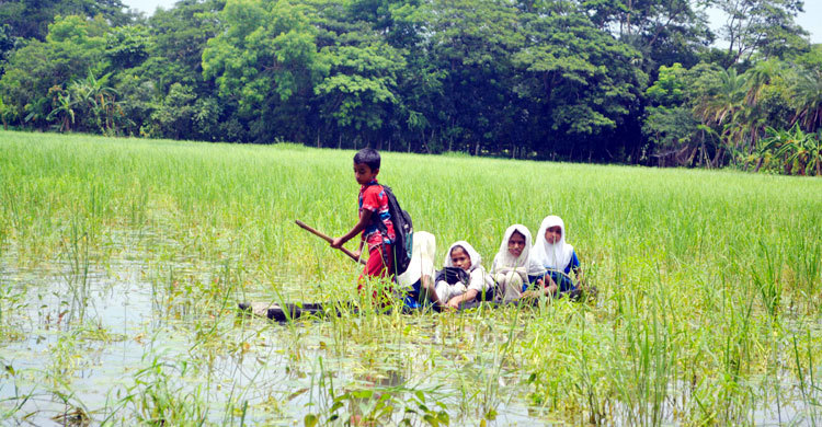 তালের ডিঙি বেয়ে স্কুলে যেতে হয় তাদের