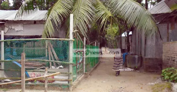 মুরগির খামারে অতিষ্ট এলাকাবাসী