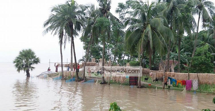 কমতে শুরু করেছে পদ্মার পানি