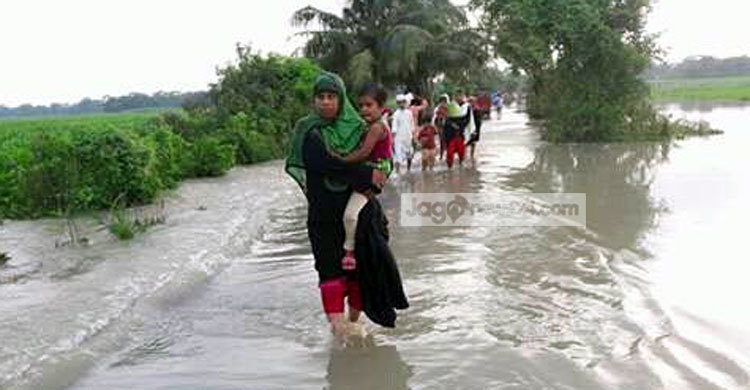 পদ্মার পানিতে জাজিরার ১৪ গ্রাম প্লাবিত