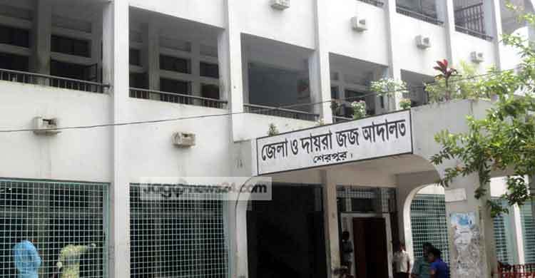 শেরপুরে শিশু ধর্ষণের দায়ে যুবকের যাবজ্জীবন