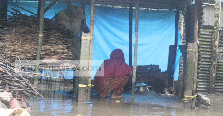 ৫ উপজেলার লক্ষাধিক বানভাসির মানবেতর জীবন