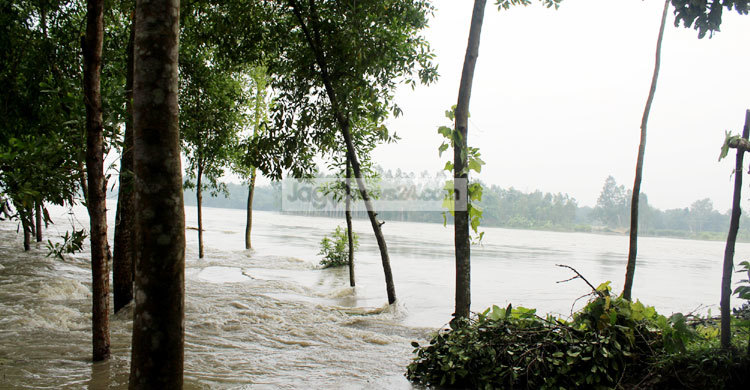 Tangail-Flood