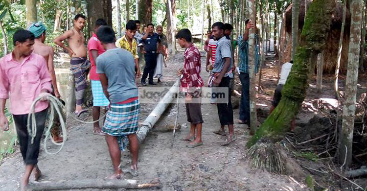 পুলিশের উদ্যোগে সেই শিক্ষিকার বাড়িতে বিদ্যুৎ