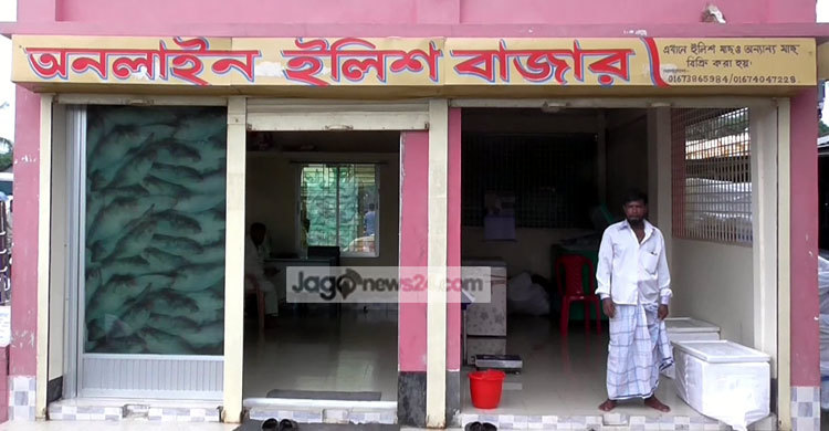 নিষ্ক্রিয় চাঁদপুর অনলাইন ইলিশ বাজার
