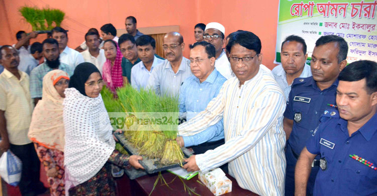 সব সময় কৃষকের পাশে থাকবে সরকার : হুইপ ইকবালুর রহিম
